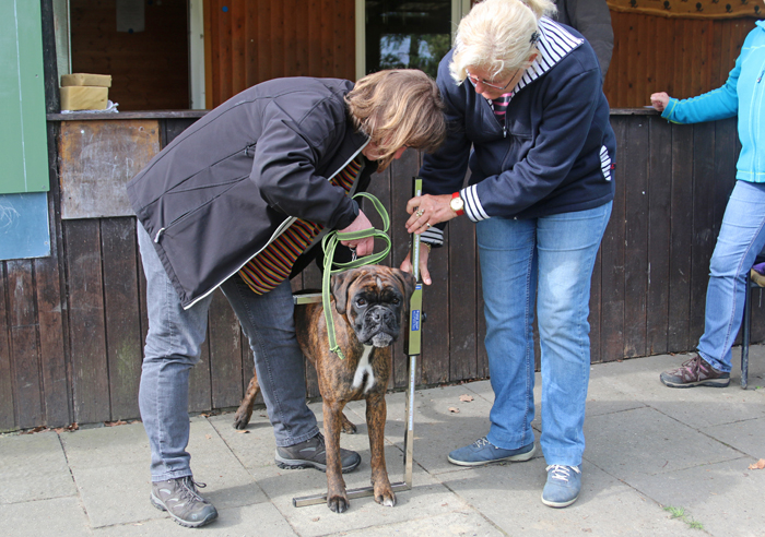 HP x messen IMG_9745 kl