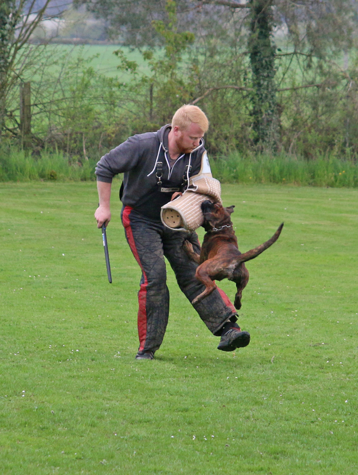 HP x berfall IMG-9856 kl