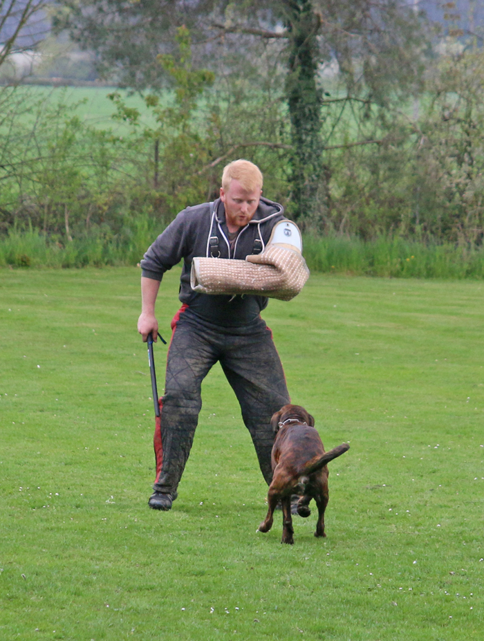 HP x berfall IMG_9825 kl