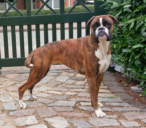 Henriette stand 2015 kl Henriette stand 2015 kl