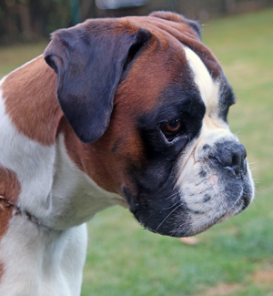 Houston-Hero kl x 019 Houston-Hero kl x 019