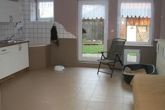 Hundezimmer