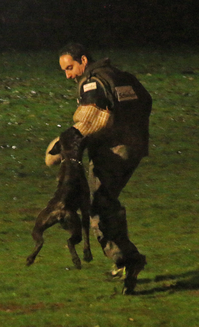 IMG_0522 kimi flucht kl