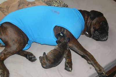 IMG_3271 kimi und isabell