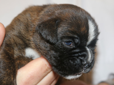 IMG_3286 isabell kl_