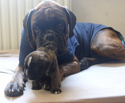 IMG_3305 kimi und isabell kl