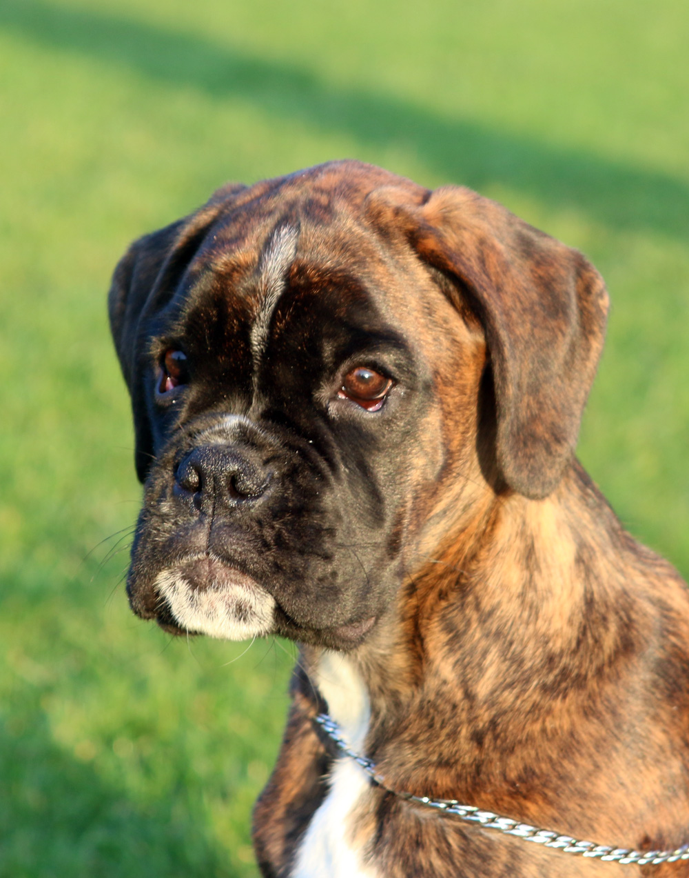 IMG_4013 isabell 3 monate_bearbeitet-1