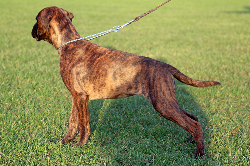 IMG_4018 isabell stand kl