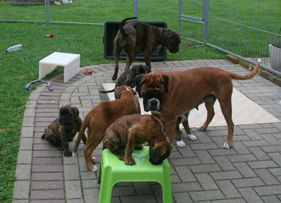 IMG_7683 beide muttis kl