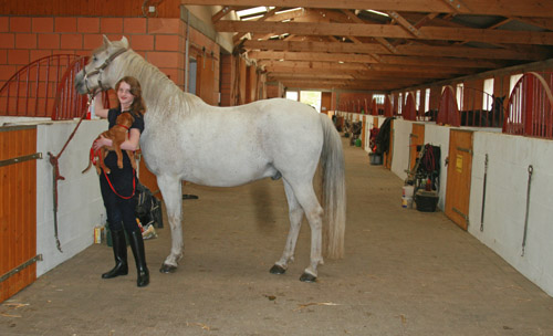 IMG_7707 domingo hermine kl