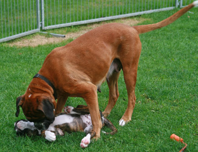 IMG_7714 mit mama kl