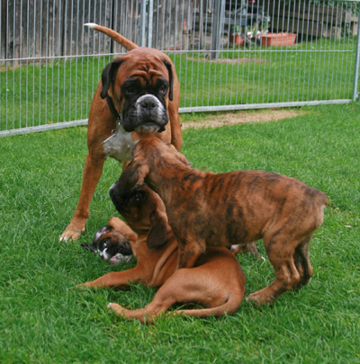 IMG_7715 mit mama kl