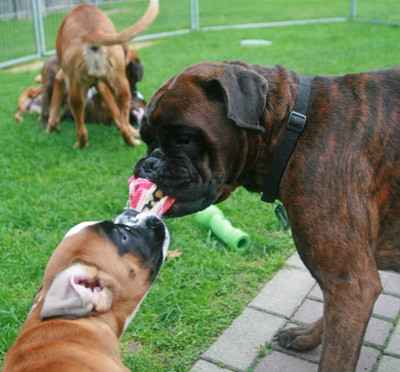 IMG_7720 beide mtter kl