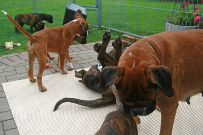 IMG_7744 beide mtter kl