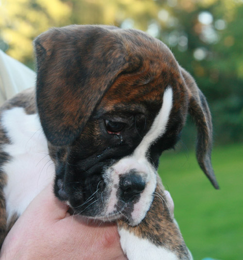 IMG_7861 henriette kl