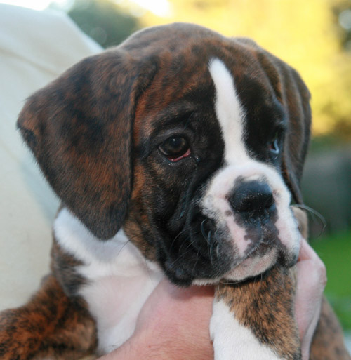 IMG_7922 henriette kl