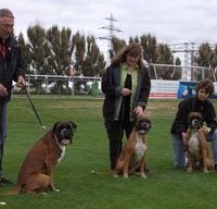 Jahressieger 2012 Darko Donella Dasper klein Jahressieger 2012 Darko Donella Dasper klein