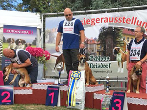 Jahressieger 2018 kl