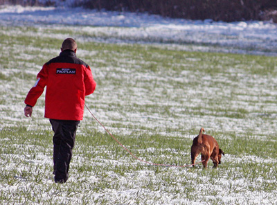 Jenna FCI Tracking Level 1, erster Platz mit 88 Punkten kl verkl