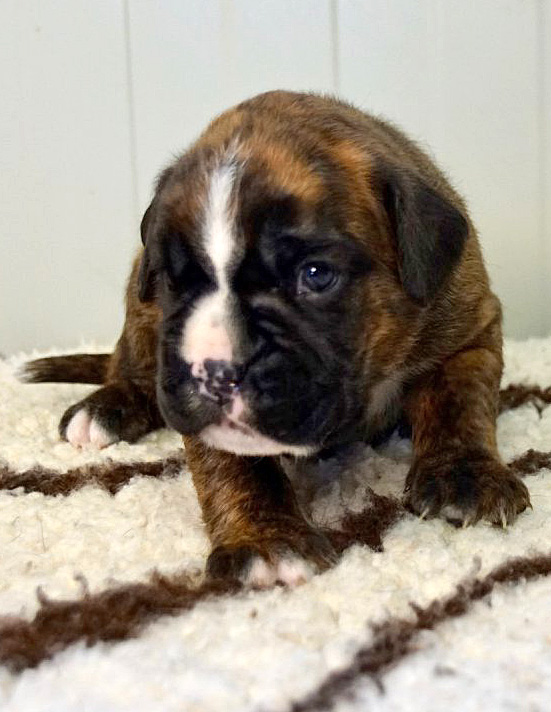 Joop Tochter 1 klein