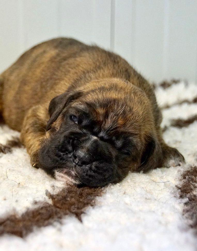 Joop Tochter 2 klein