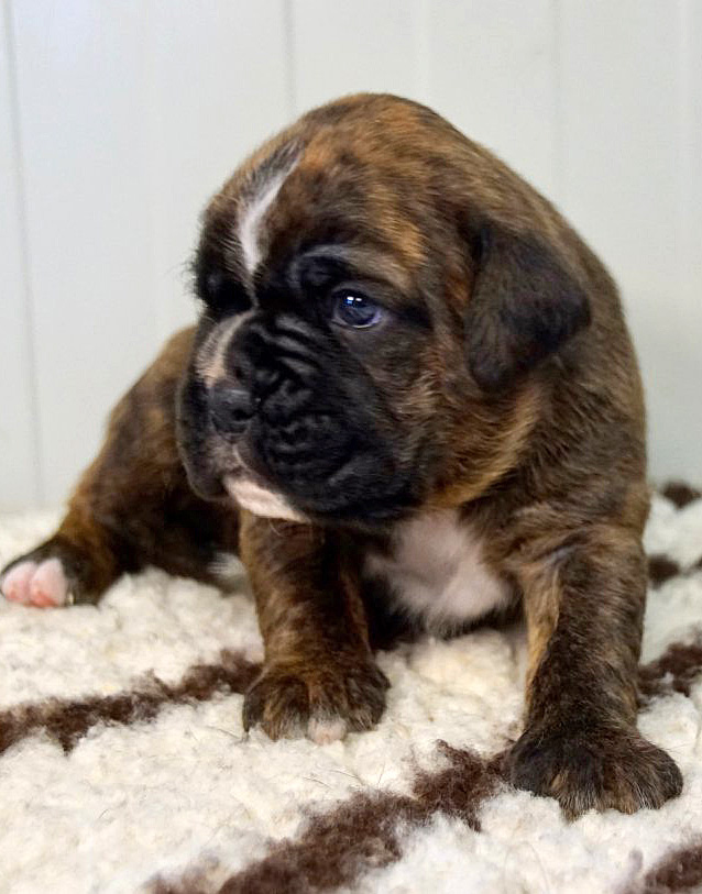 Joop Tochter 3 klein