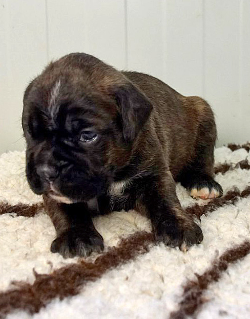 Joop Tochter 4 klein