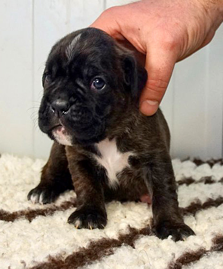 Joop Tochter 5 klein