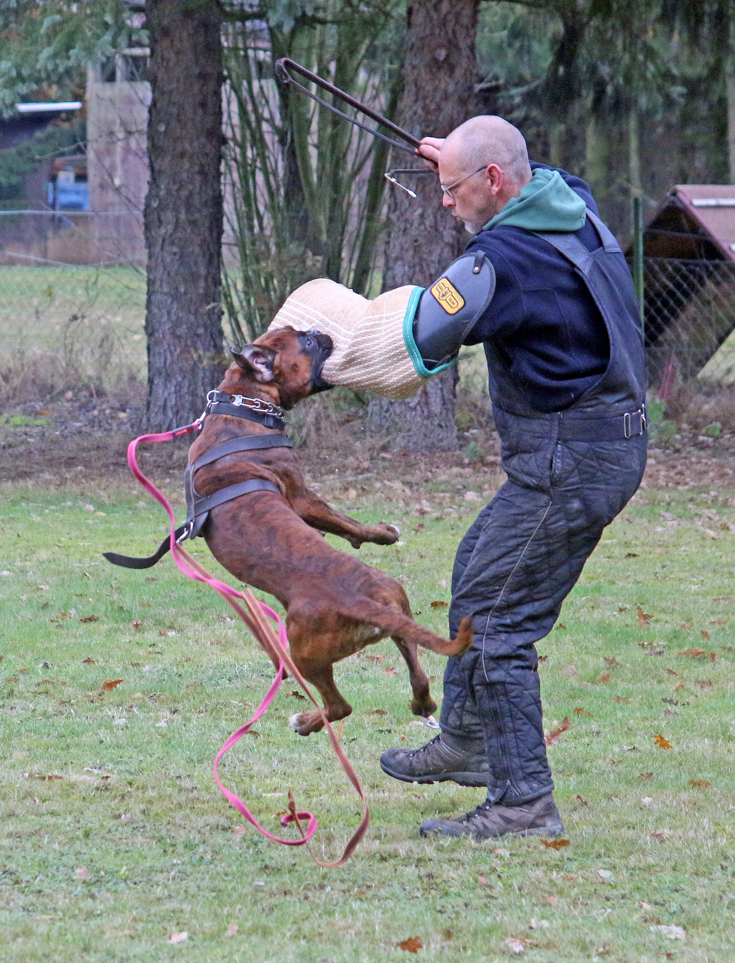 Joop vom Brmchen 1 kl