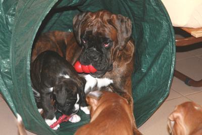 Kimberly-vom-Niederheider-Hof-----2KnN4UueC9o2TIlNR2q8TLtSE0ki_dd7j8Aj5Wu032E,