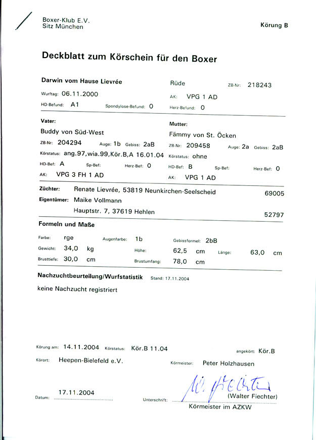 Krschein Darwin vom Hause Lievre