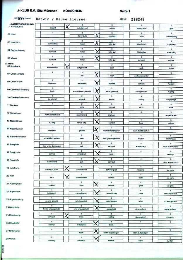 Krschein Darwin vom Hause Lievre