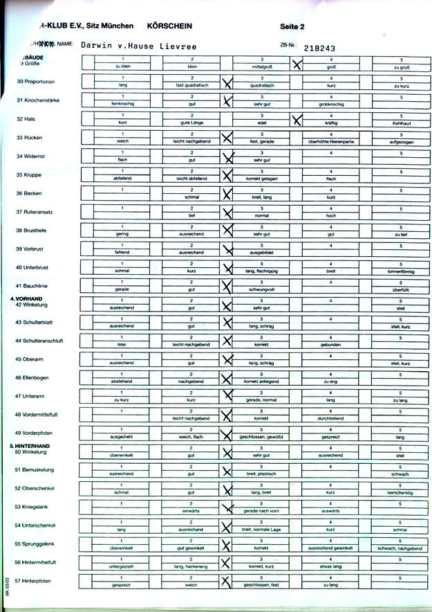 Krschein Darwin vom Hause Lievre