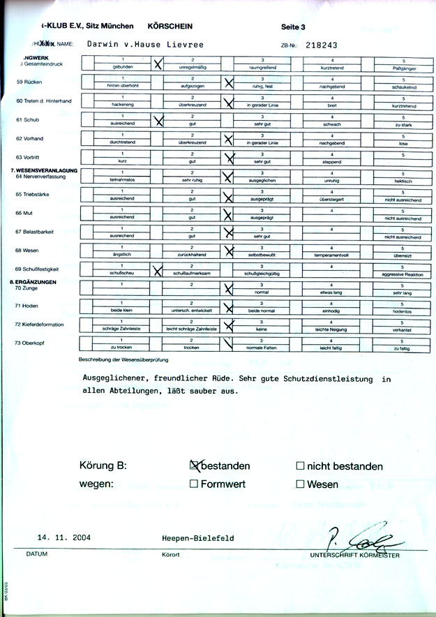 Krschein Darwin vom Hause Lievre