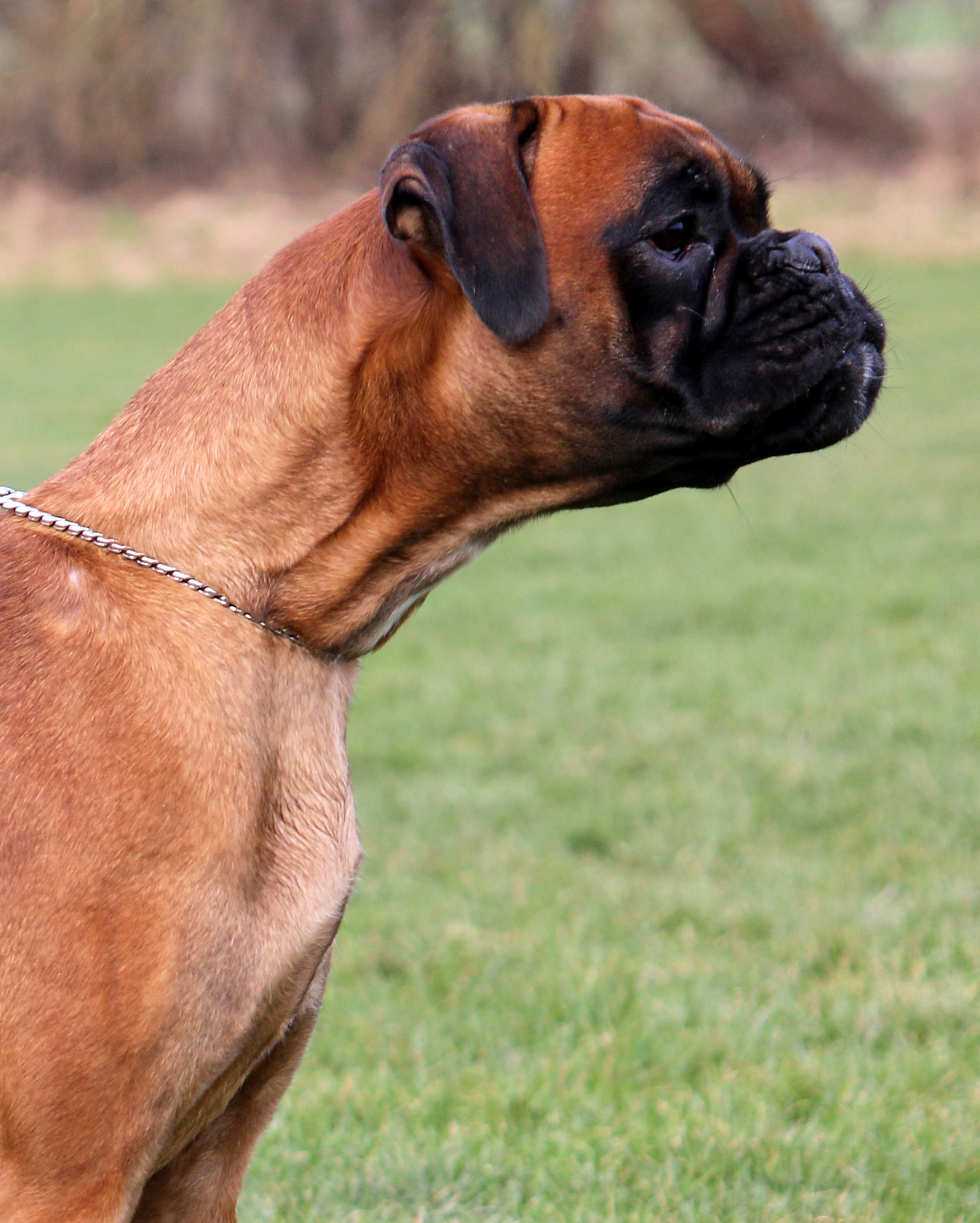 Lilli IMG_2607 auss.