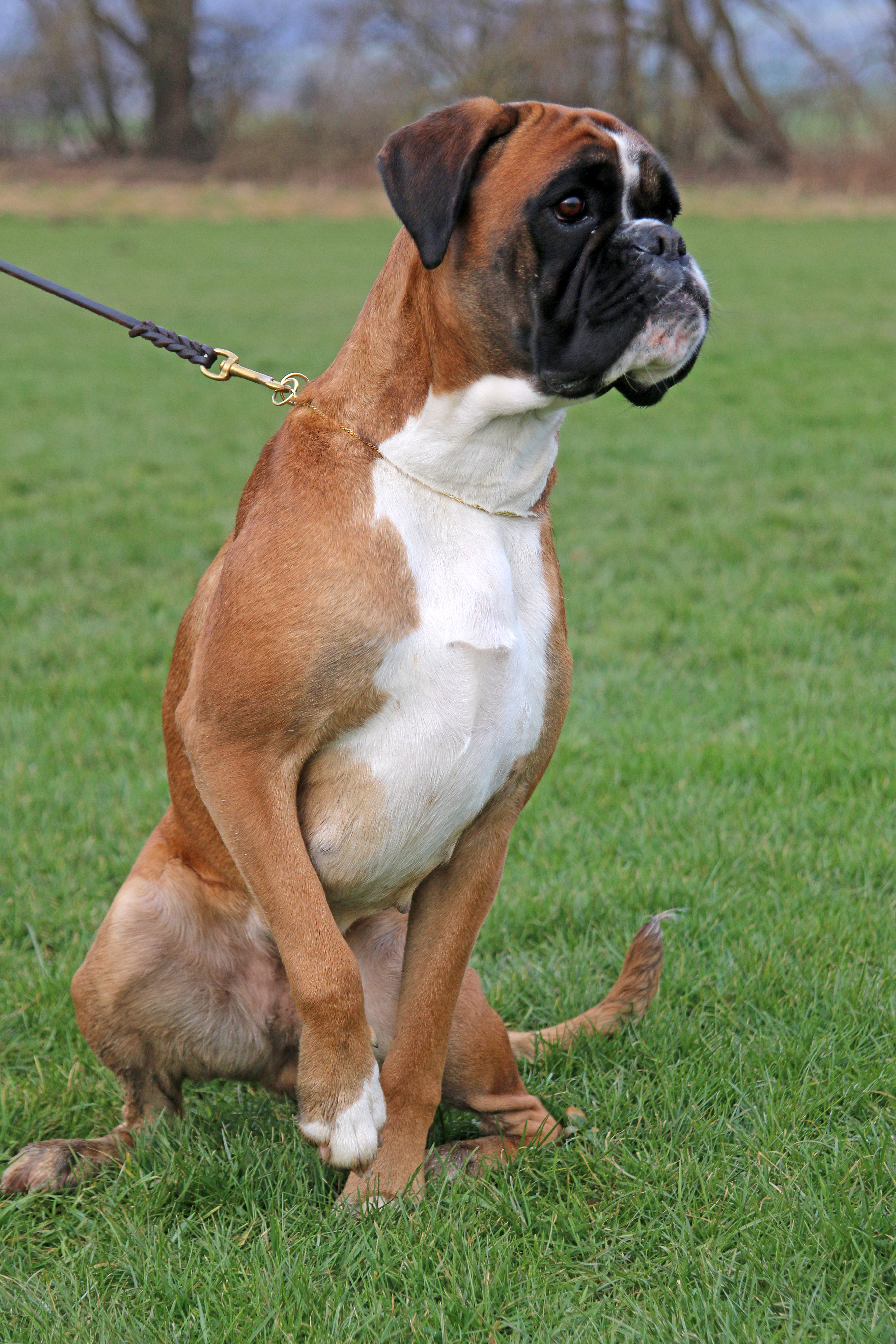 Lisbeth Feb 2018 IMG_2589