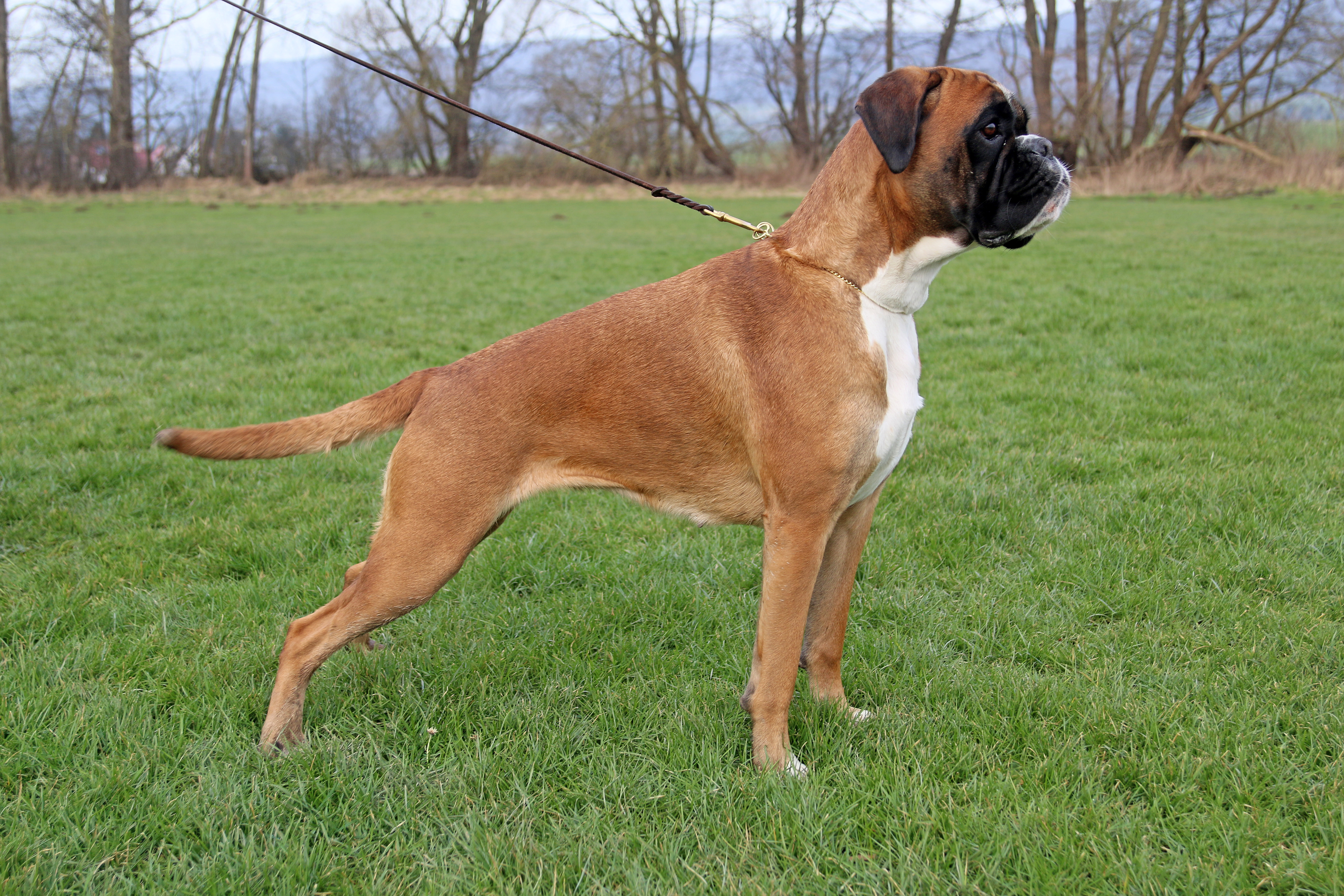 Lisbeth Feb 2018 IMG_2591