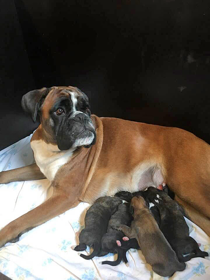 M-Wurf 72121482_2569727443351312_5993275623437500416_n