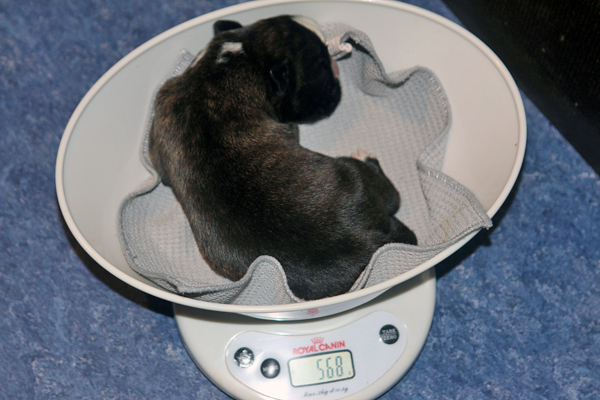 M-Wurf IMG_7311 klein1