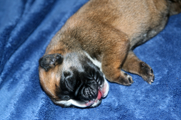 Melissa 1 IMG_7305 klein