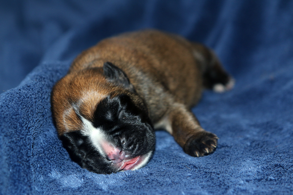 Melissa 2 IMG_7306 klein