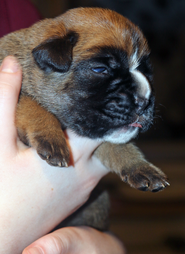 Melissa IMG_7368 klein