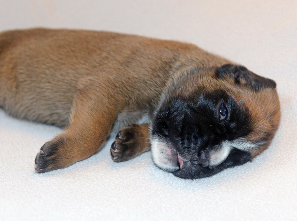 Melissa IMG_7396 klein