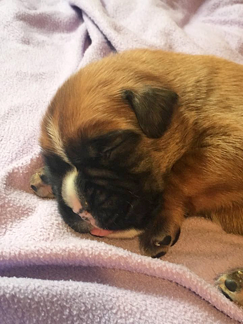 Naruto 12 Tage 1 klein