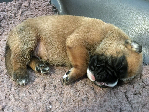 Naruto 12 Tage 3 klein