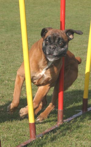 Anuschka vom Brmchen