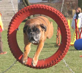 Anuschka vom Brmchen