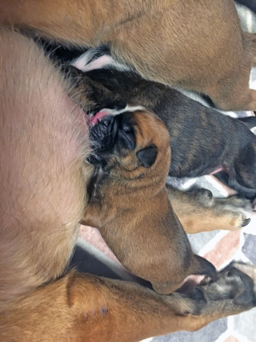 Trinken IMG_8174 klein