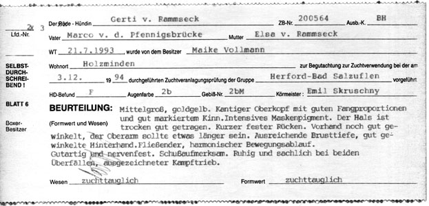 Zuchttauglichkeit Gerti vom Rammseck