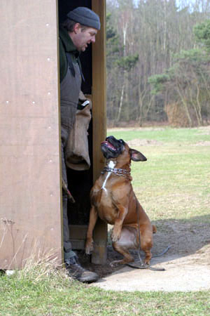 Anuschka vom Brmchen